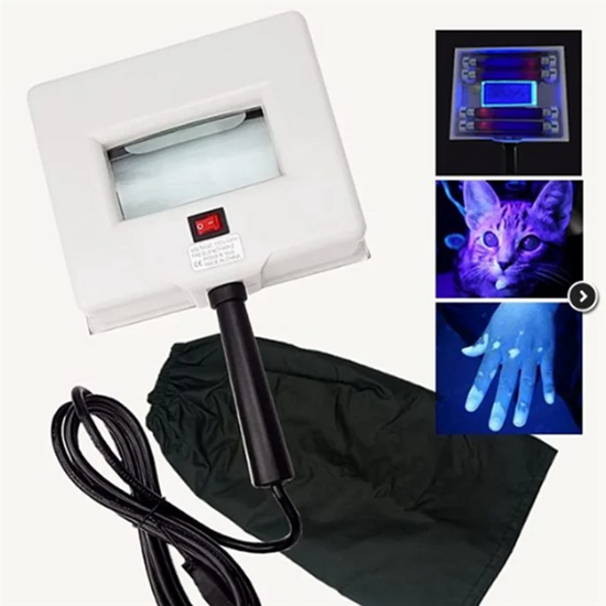 Professional UV Skin Analyzer